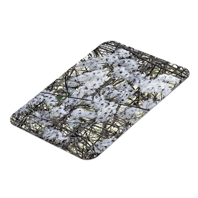 CLEMATIS MAGNET (Left Side)