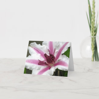 Clematis Note Card