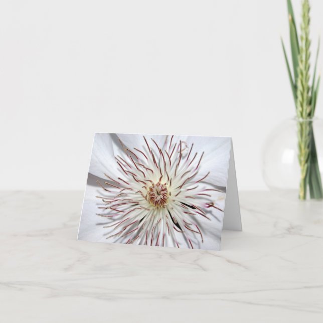Clematis Notecard (Front)