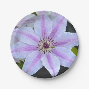 Clematis Paper Plate