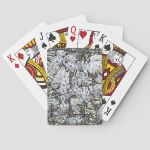 CLEMATIS PLAYING CARDS