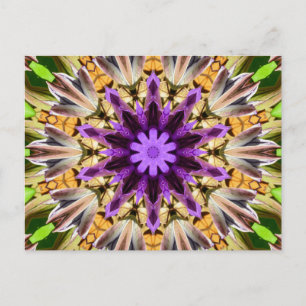 CLEMATIS POSTCARD