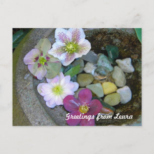 Clematis Postcard