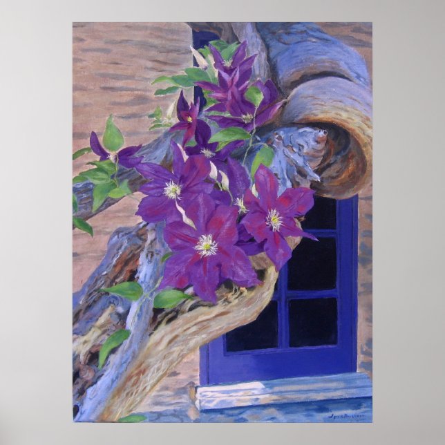 clematis poster/print poster (Front)