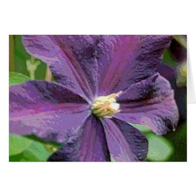 Clematis Purple Flower Card (Front Horizontal)