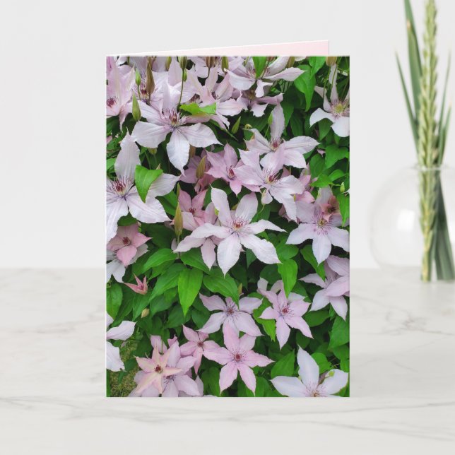 Clematis Purple Vining Flower on Trellis Blank Card (Front)