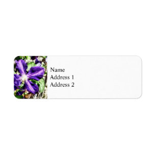 Clematis sur un mur de pierre