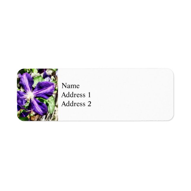 Clematis sur un mur de pierre (Devant)