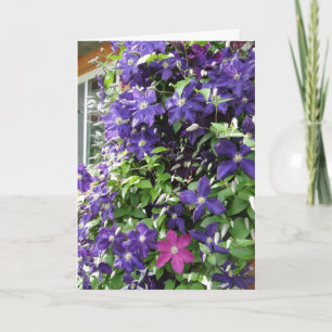 Clematis Vine, Inspirational Card