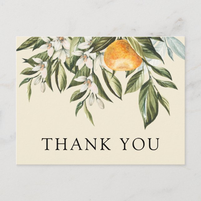 Clementine and Greenery Shower Thank You Postcard (Front)