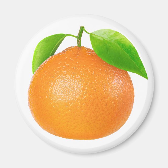 Clementine Magnet (Front)