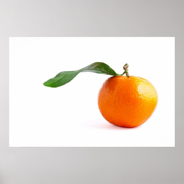 CLEMENTINE POSTER (Front)