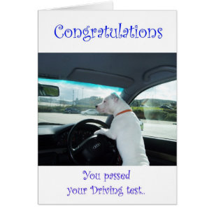 Cleo a passé l'examen de conduite