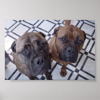 Cleo and Luna Poster