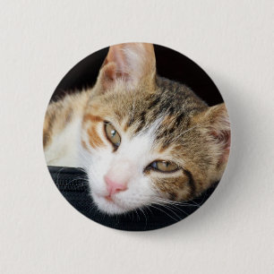 Cleo Cat Button