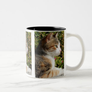 Cleo Cat Mug