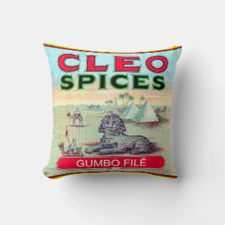Cleo Spices Pillow