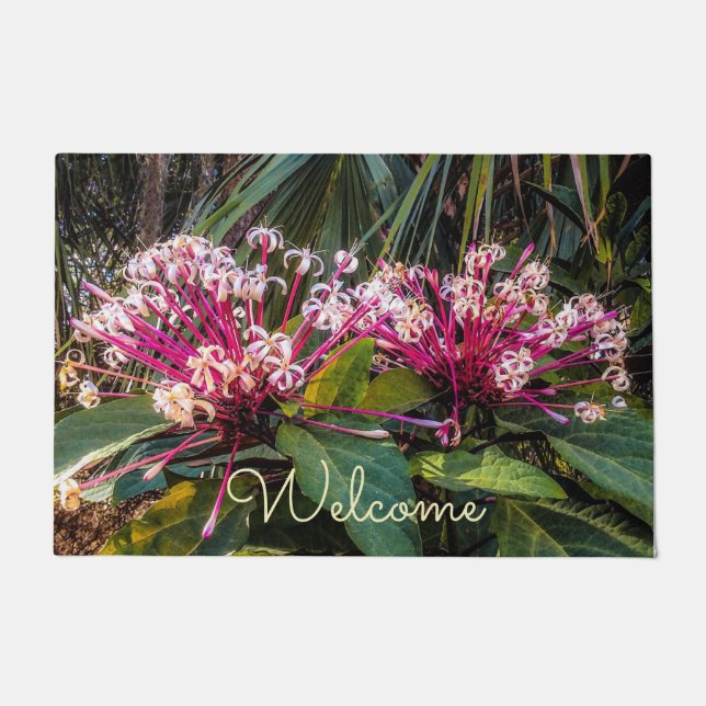 Clerodendrum Starburst Flowers Door Mat (Front)