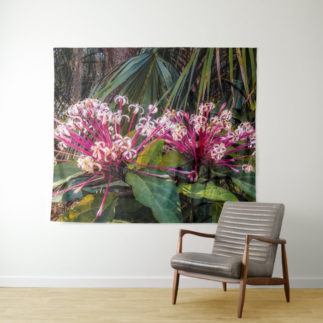 Clerodendrum Starburst Flowers  Tapestry (In Situ (Horizontal))