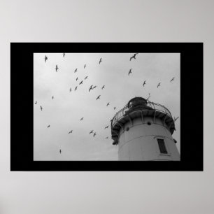 Cleveland lighthouse and gulls bw print