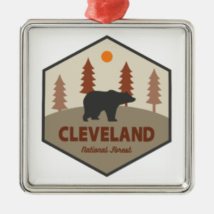 Cleveland National Forest Bear Metal Ornament