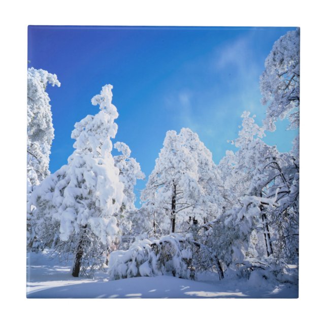Cleveland National Forest Tile (Front)