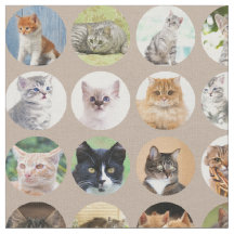 Clever Cats Fabric