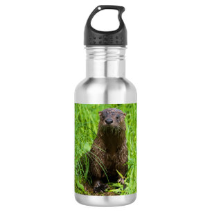 Clever River Otter 532 Ml Water Bottle