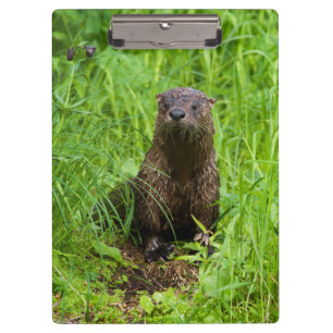 Clever River Otter Clipboard