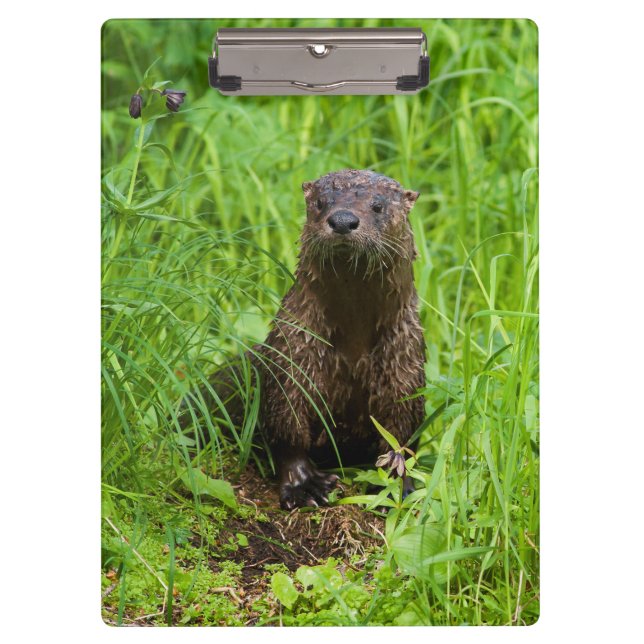 Clever River Otter Clipboard (Front)