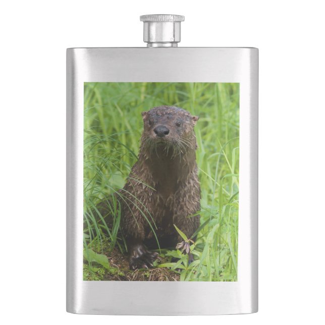 Clever River Otter Hip Flask (Front)