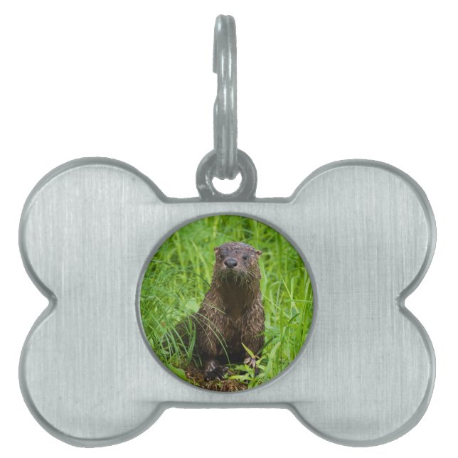 Clever River Otter Pet ID Tag (Front)