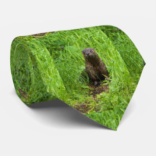 Clever River Otter Tie