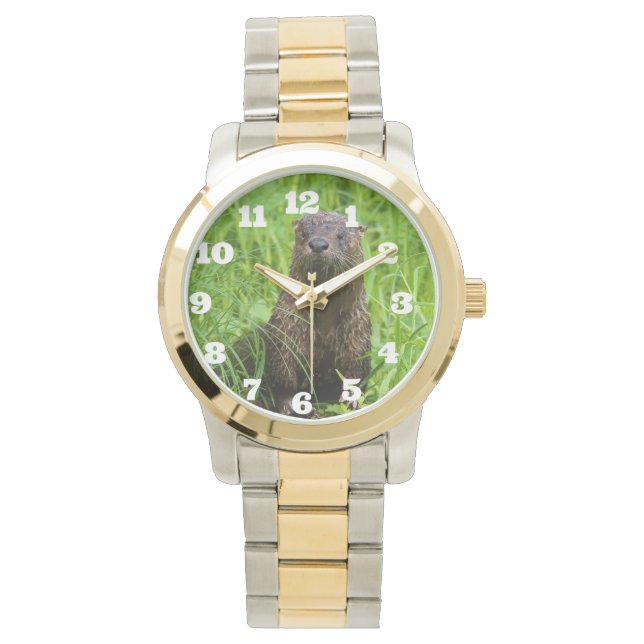 Clever River Otter Watch (Front)