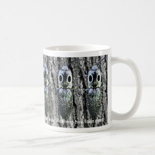 Click Beetle Haiku Mug