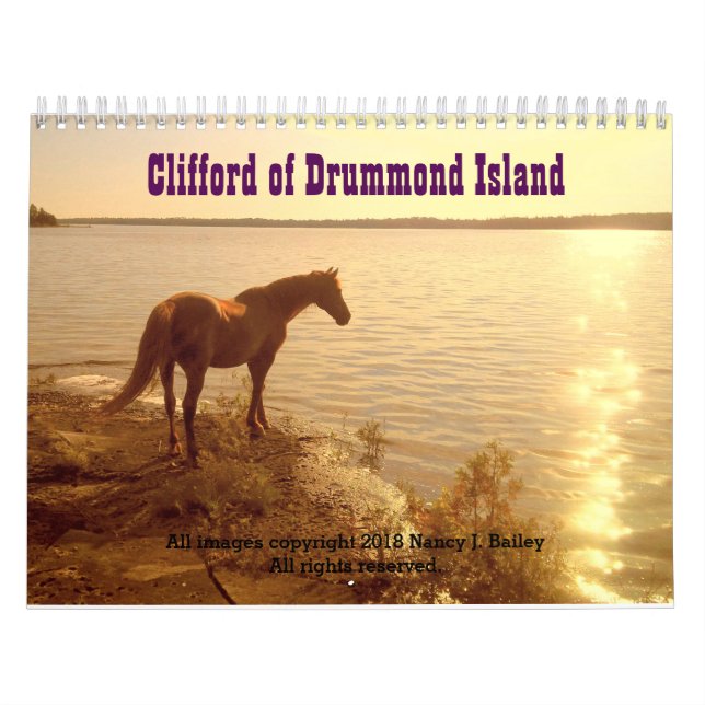 Clifford 2019 le calendrier mural de cheval de (Protection)