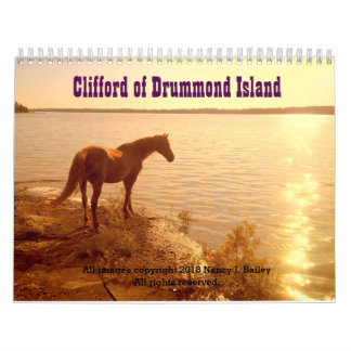 Clifford 2019 le calendrier mural de cheval de