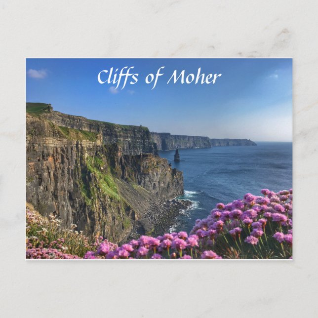 Cliffs of Moher, Ireland, Flowers Postcard (Front)