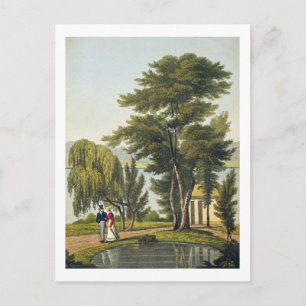 Clifton, from 'The Naturama, or, Nature's Endless Postcard