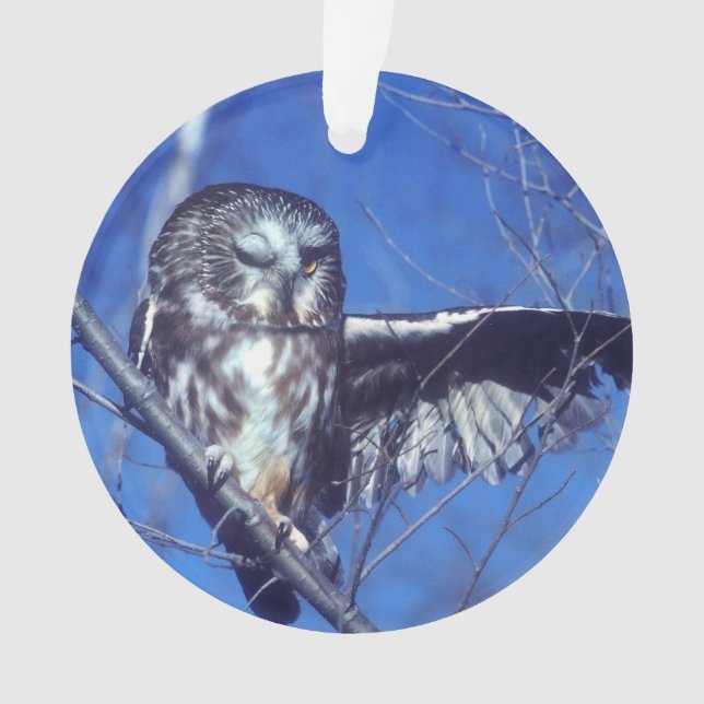 Cligner de l'oeil le hibou (devant)