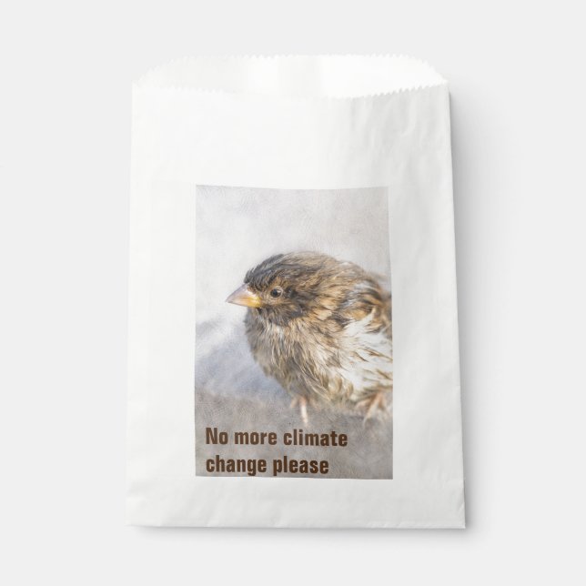 Climate change awareness favour bag (Front)