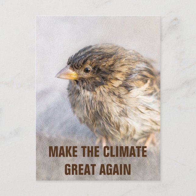 Climate change awareness postcard (Front)