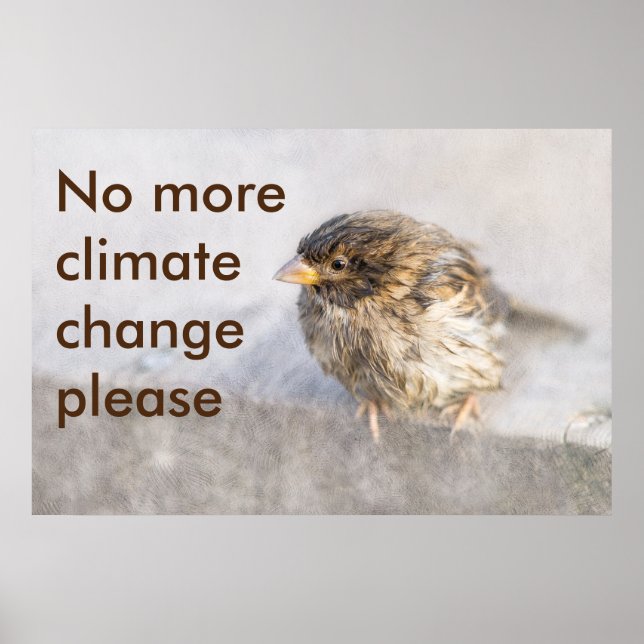 Climate change awareness poster (Front)