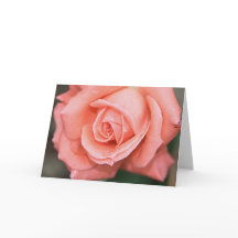 Climbing America Rose Note Card
