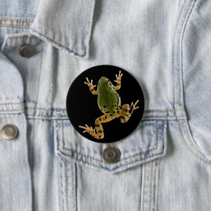 Climbing Arizona Tree Frog Photograph 3 Inch Round Button