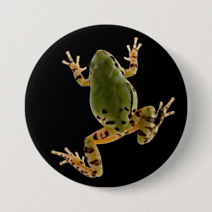 Climbing Arizona Tree Frog Photograph 3 Inch Round Button