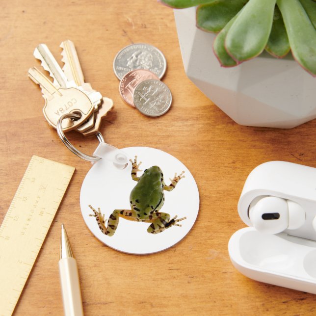 Climbing Arizona Tree Frog Photograph Over White Keychain (Desk)