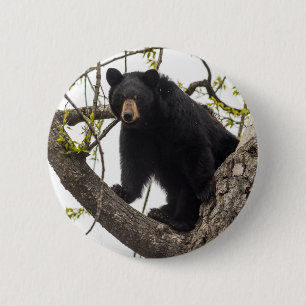 Climbing Black Bear 2 Inch Round Button
