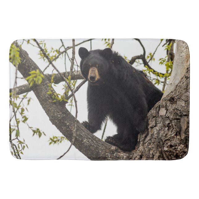 Climbing Black Bear Bath Mat (Front)