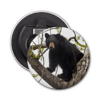 Climbing Black Bear Bottle Opener